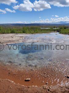 IMG_20220527_123954