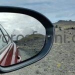 IMG_20230806_092755