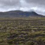 IMG_20230806_140049