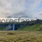 IMG_20230807_063616